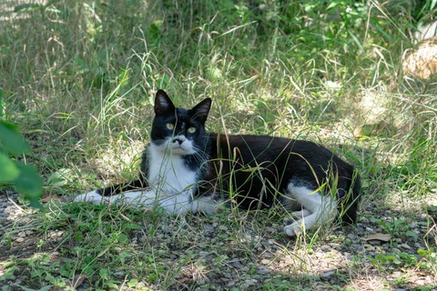DSC00073