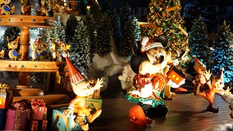 DSC00047_1024