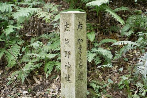 DSC07148