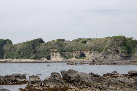 DSC08980