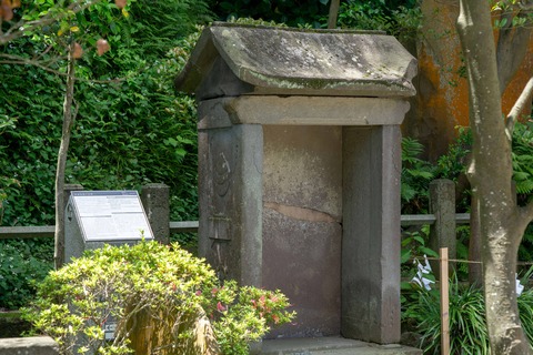 DSC00056