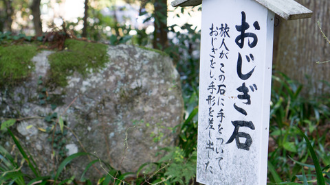 DSC03575