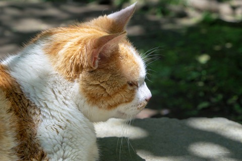 DSC00094