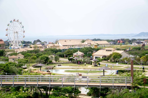 DSC08993