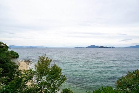 DSC01739