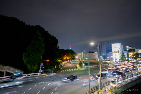 DSC01206