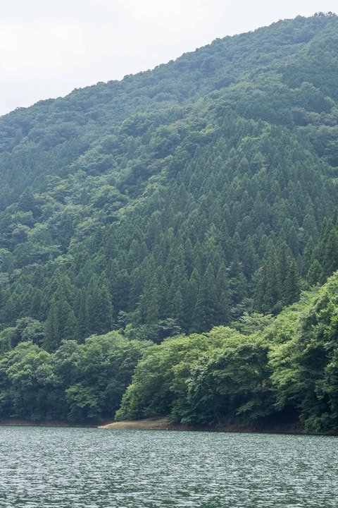 DSC00948