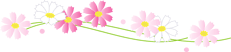 イメージ 13