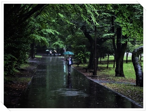 DSC_3037 - 戸山公園箱根山地区コピーa