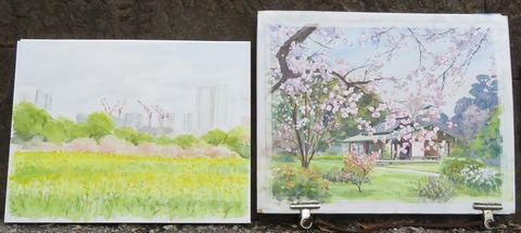 220327・浜離宮・東描 (49)