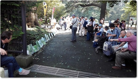 190728 描会・御苑 (1)