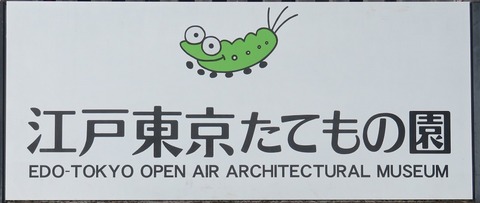 ●小金井公園・蝋梅等 (8)