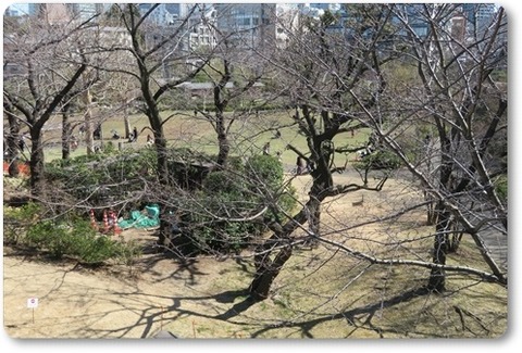 2021年2月例会 (32)a