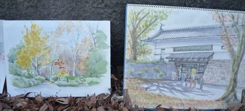 211128・北の丸・東描 (21)