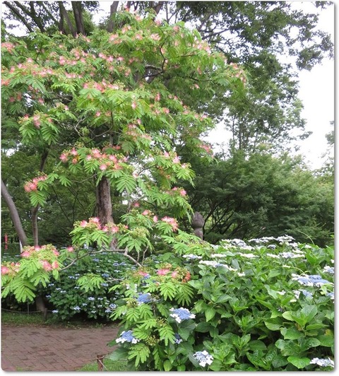 190623 東京描会・府中郷土森 (17)exp