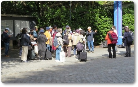 ●231022・東大駒場・東描 (12)a1