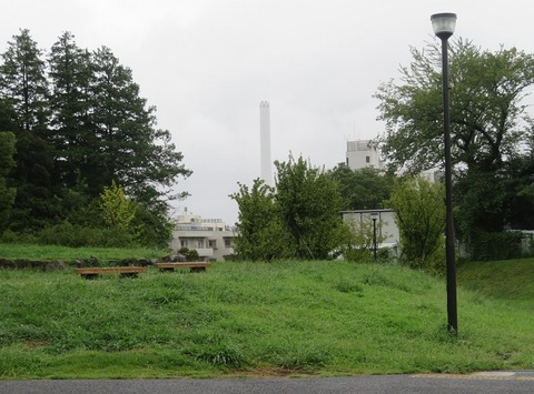 220828・高井戸公園・東描 (15)ｂ