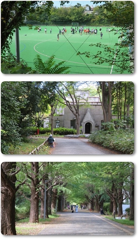 ●231022・東大駒場・東描 (36)a1-vert