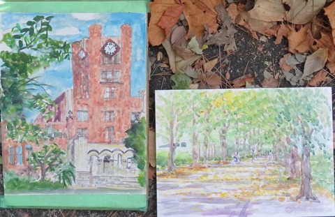 ●231022・東大駒場・東描 (75)