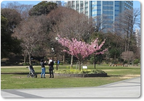 200223例会・増上寺 (25)