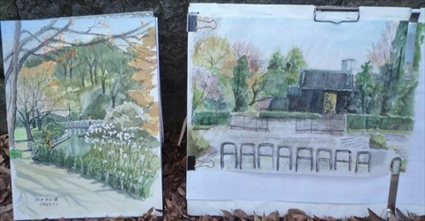 211128・北の丸・東描 (29)