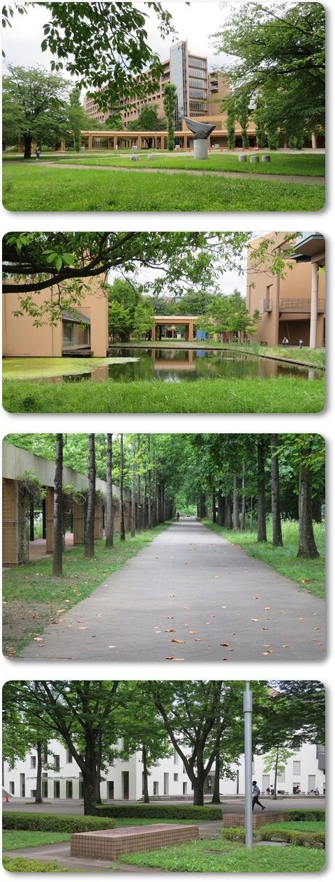 ○6月例会・外語大 (10)a-vert