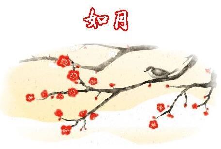 2015 如月キャプチャ