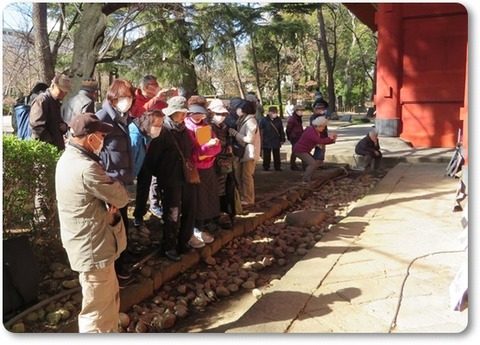 200223例会・増上寺 (79)