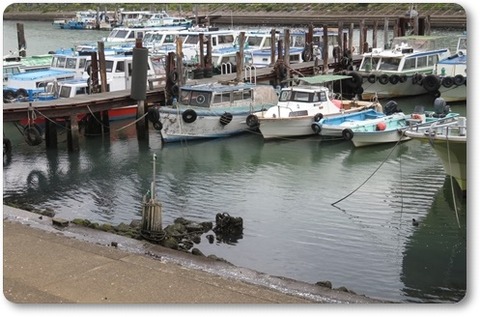 210328・勝島運河界隈 (17)a