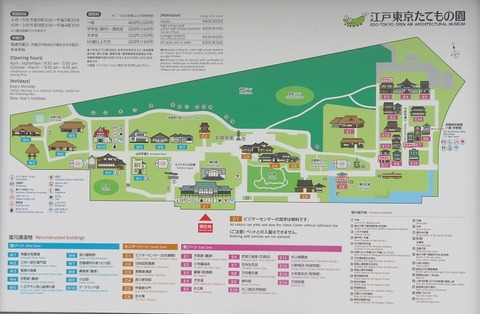 ●小金井公園・蝋梅等 (1)