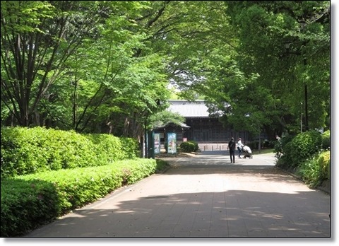 ●210425・上野界隈・東描 (58)a