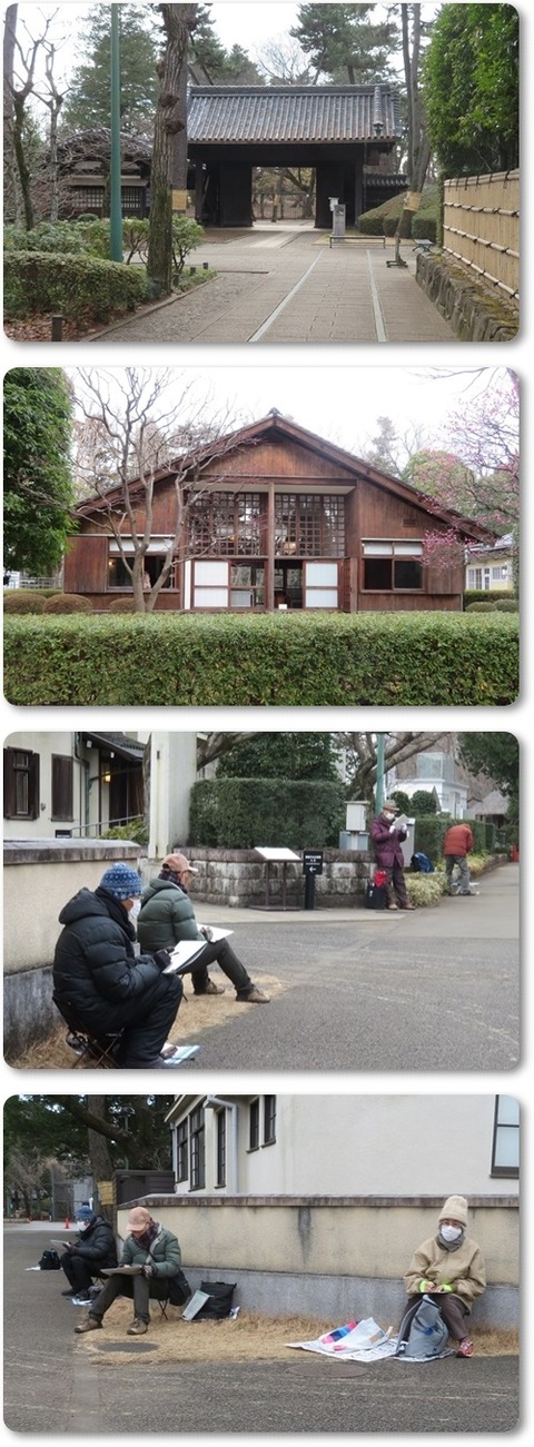 1月例会・江戸東京たてもの園・230122 (12)-vert