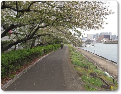 210328・勝島運河界隈 (22)a