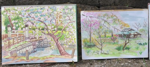 220327・浜離宮・東描 (54)