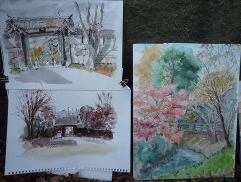 211128・北の丸・東描 (25)