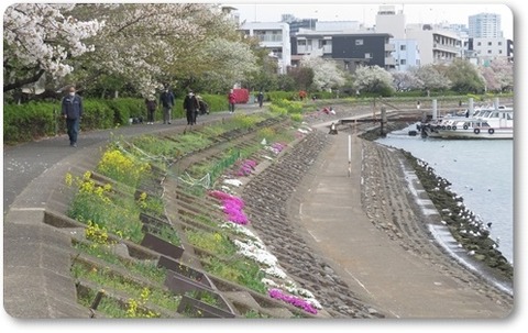 210328・勝島運河界隈 (18)a