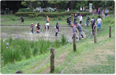 190623 東京描会・府中郷土森 (14)exp