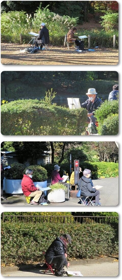 211128・北の丸公園・東描会 (15)b-vert