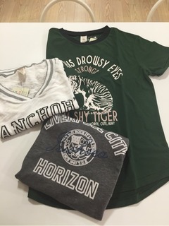 o0480064113300631131