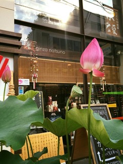 13769383_864534727011600_8640618978225696229_n