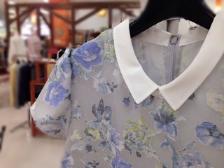 o0480036012854232341