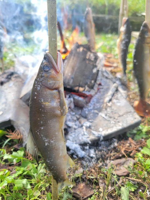 628011ca-cf7d-46b0-8f5f-97e7a1d78ec9