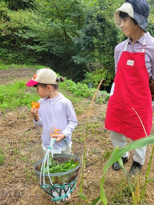 e6414c0a-fdf5-4072-848a-e7c578b78a93