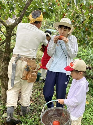 5b738474-ff39-488b-a782-8b25ac8f25b6