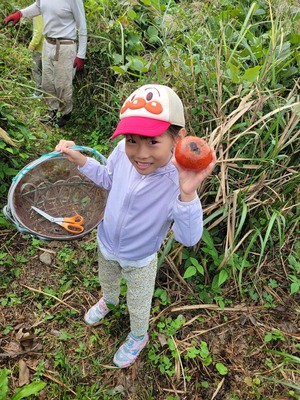 f6e5f334-7a88-482d-98c1-0f5c02d72c16