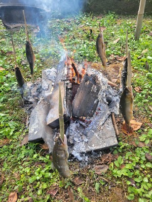 60e2c421-00a7-4634-a4fc-23d1ec24c5b4