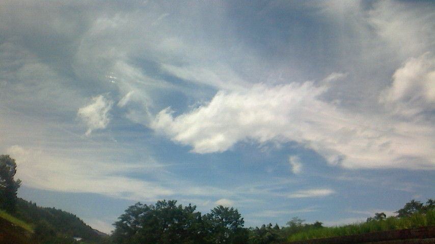 龍雲 思わず うっふっふ