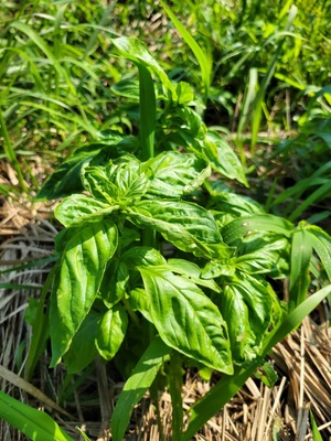 340855ab-2a7f-4cc7-b8c2-0a828c876eb2