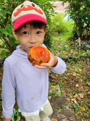 2f5cb374-be7f-4156-b527-421727ca6ca5