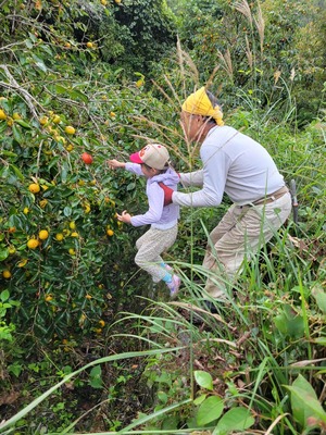 531325e1-0f35-4409-8f5d-eb89506b8d3a